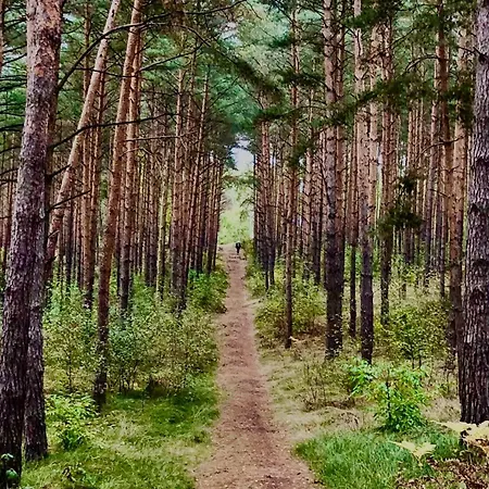 Auszeitoase In Am Schwielowsee * Ferch