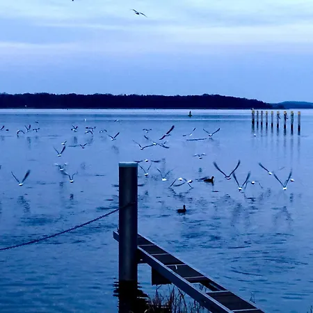 Дом отдыха Auszeitoase In Am Schwielowsee *