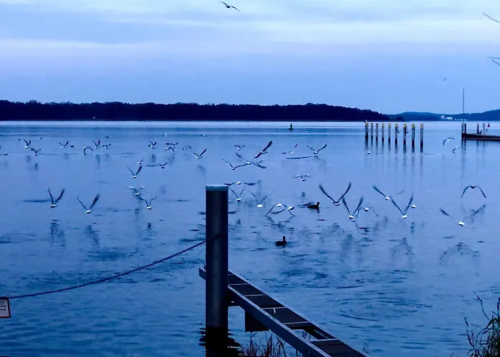 Holiday home Auszeitoase In Am Schwielowsee *